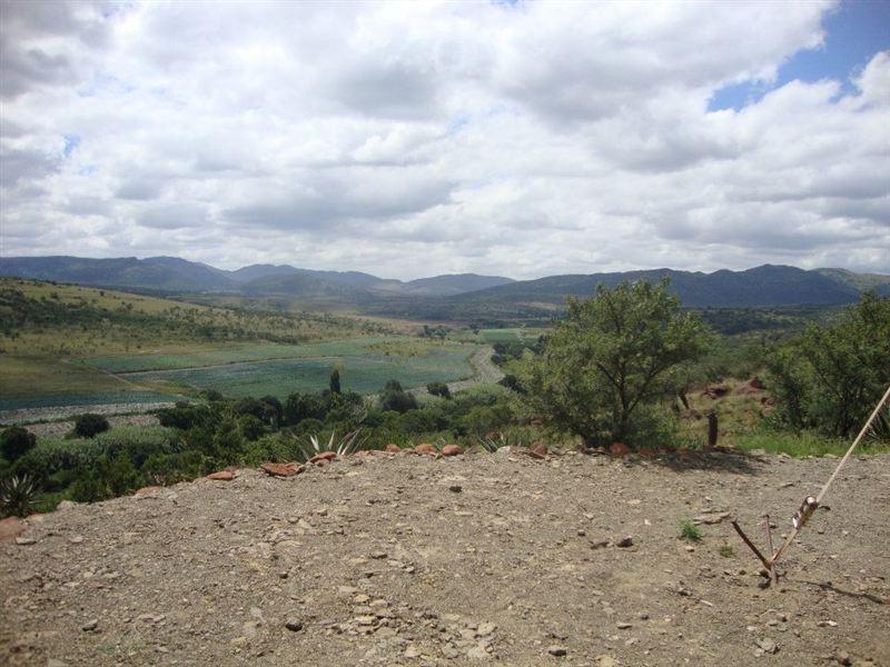 Queenstown Reserve Your Hotel, SelfCatering, or Bed and Breakfast