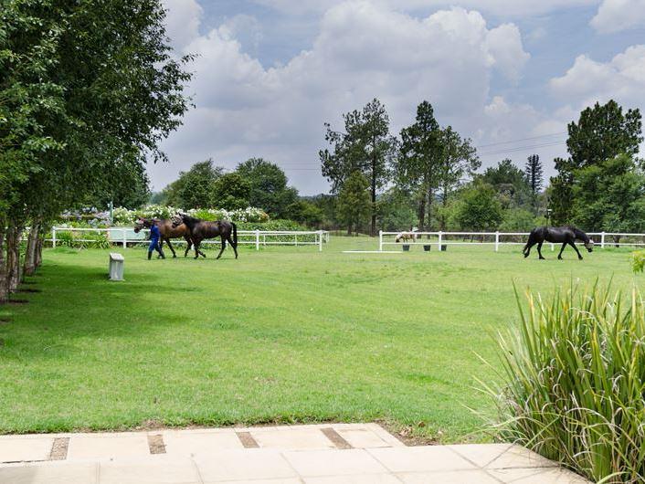 Kyalami Find Your Perfect Lodging, SelfCatering, or Bed and