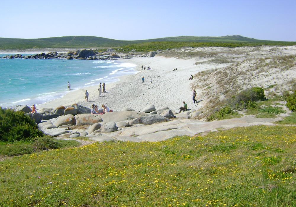 West Coast National Park Get the Best Deal Book Self