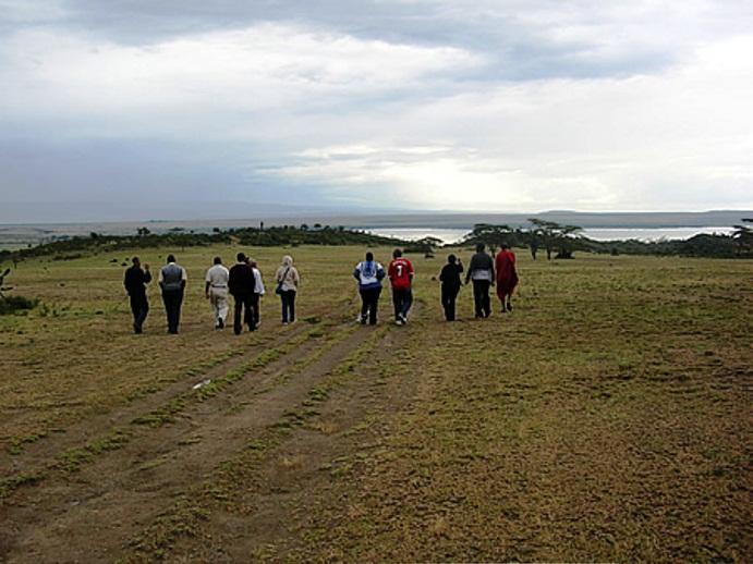 Lake Elementaita Lodge Reserve Your Hotel, SelfCatering, or Bed and