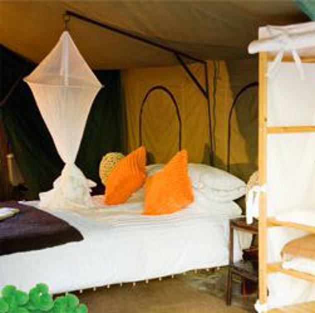 Elgin Hills Luxury Tented Camp Get the Best Deal Book