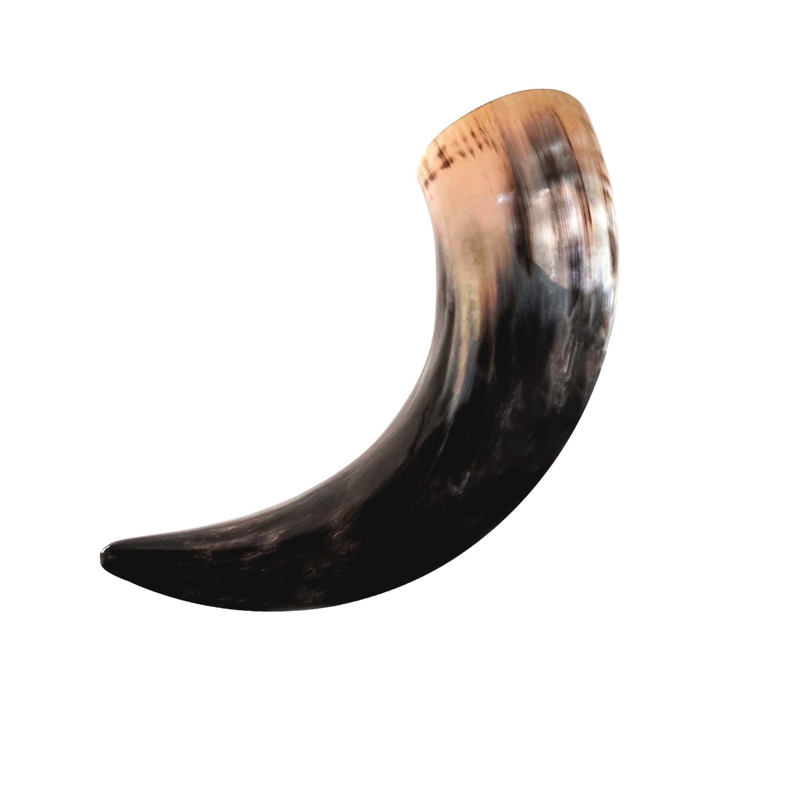 Plain Genuine Drinking Horn SNWorldwide Exports