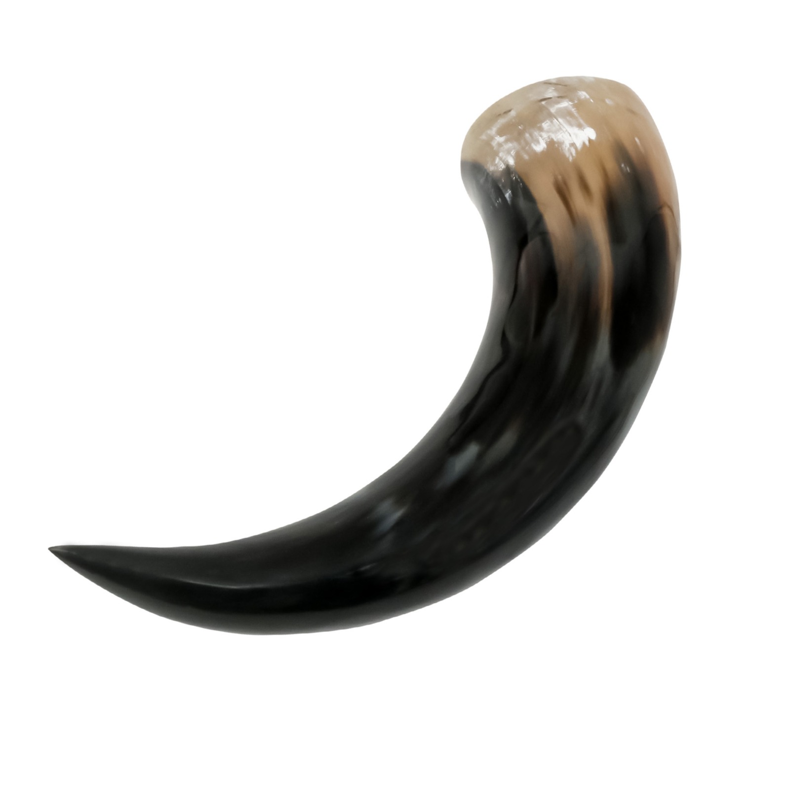 Plain Genuine Drinking Horn SNWorldwide Exports