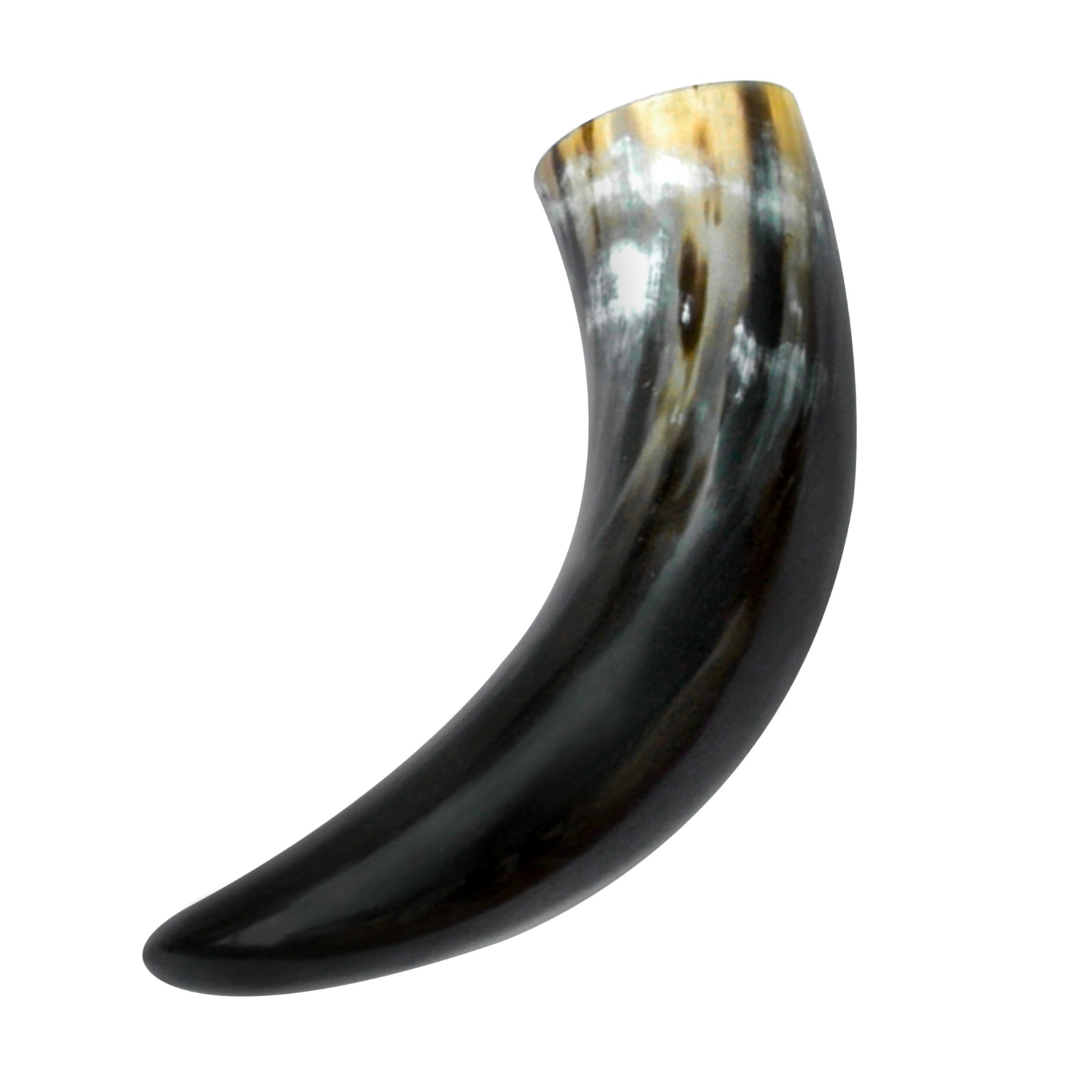 Plain Genuine Drinking Horn SNWorldwide Exports