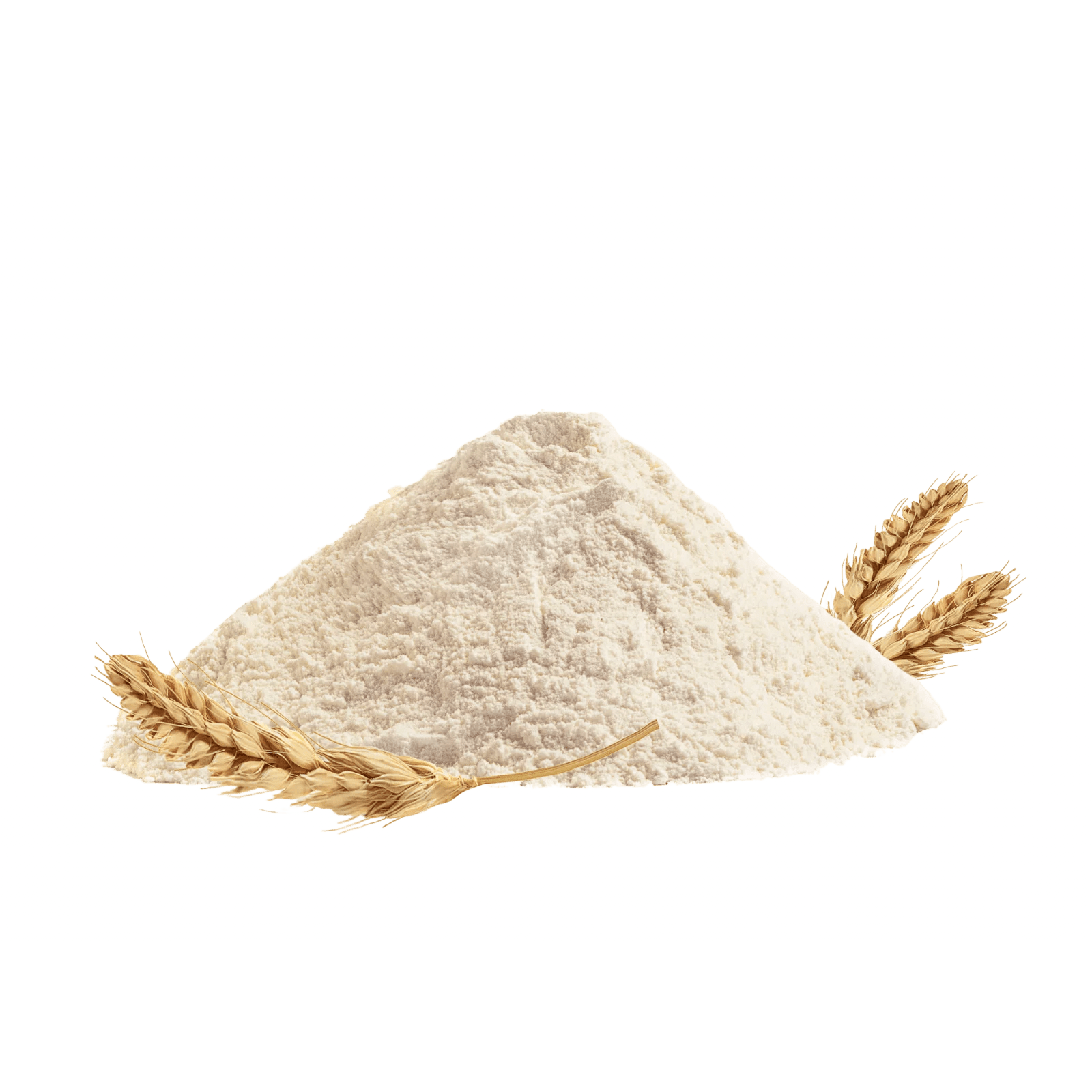 Hong Kong Flour SnF