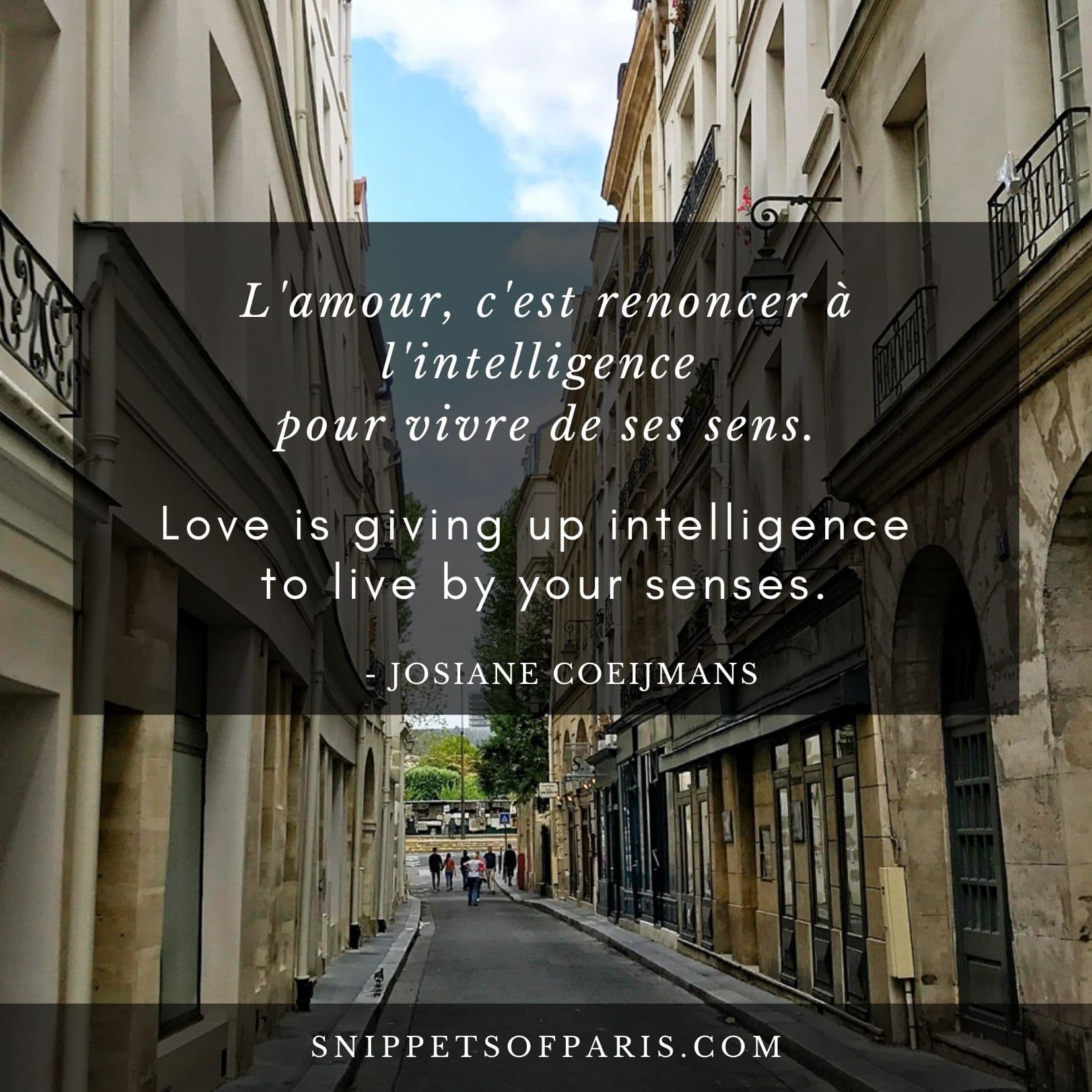31 French love quotes (with English translation)
