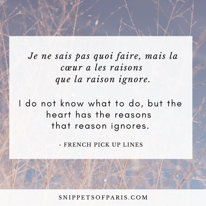 27 French PickUp Lines Cheesy, funny and flirty