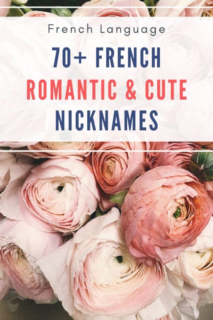 92+ French Terms Of Endearment Crazy & Romantic Nicknames Snippets