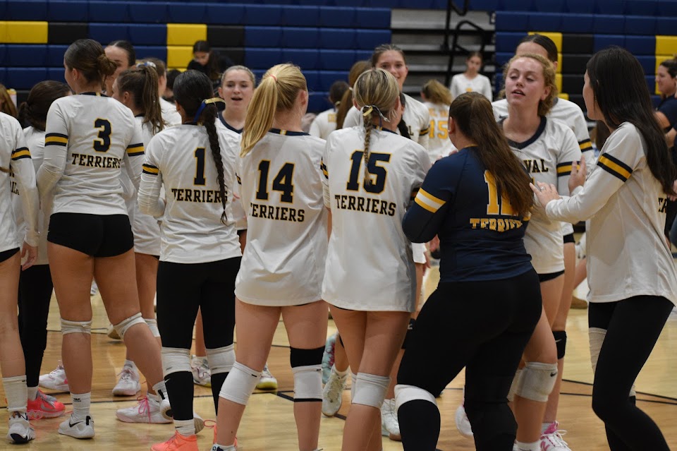 What is a libero? The Delphi