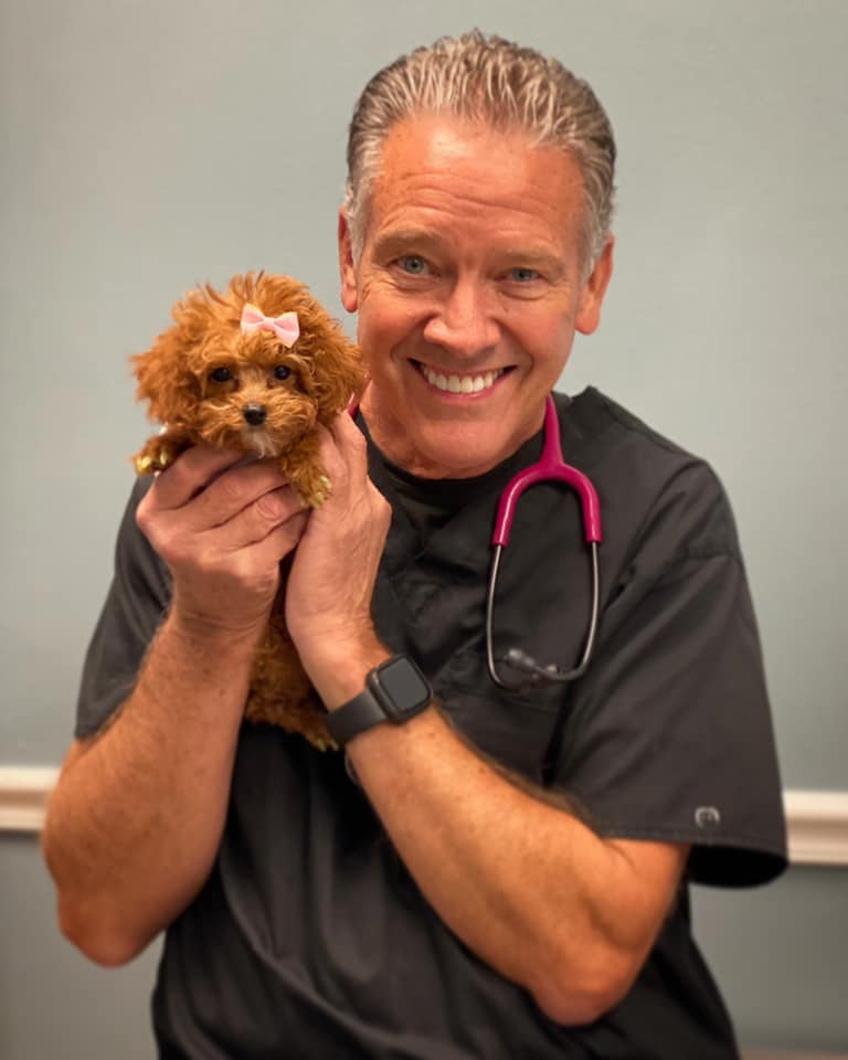 Small Animal Medicine Snodgrass Veterinary Medical Center