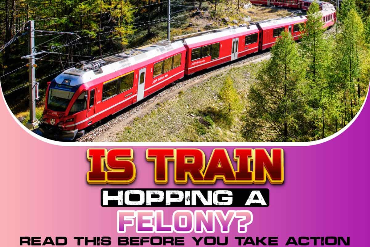 Is Train Hopping A Felony? Read This Before You Take Action Snoop Lion