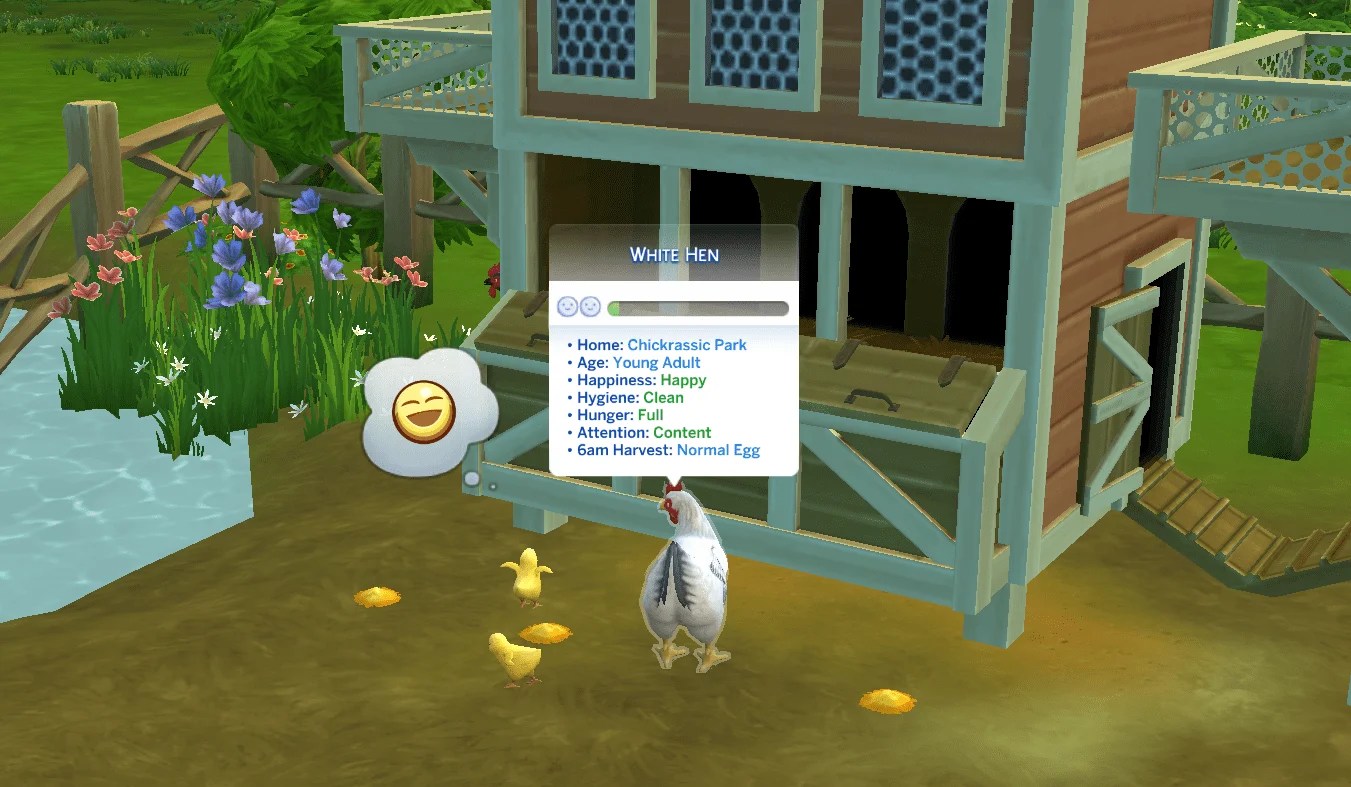 TS4 Chickens The Ultimate Guide on Cleaning and Caring For Them