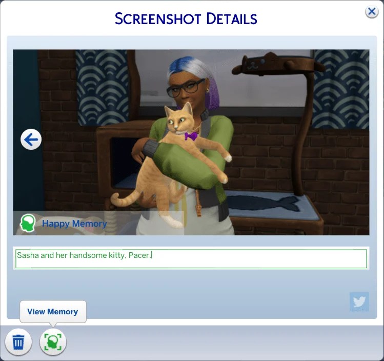 Make Meaningful Memories with the Memory Panel Mod — SNOOTYSIMS