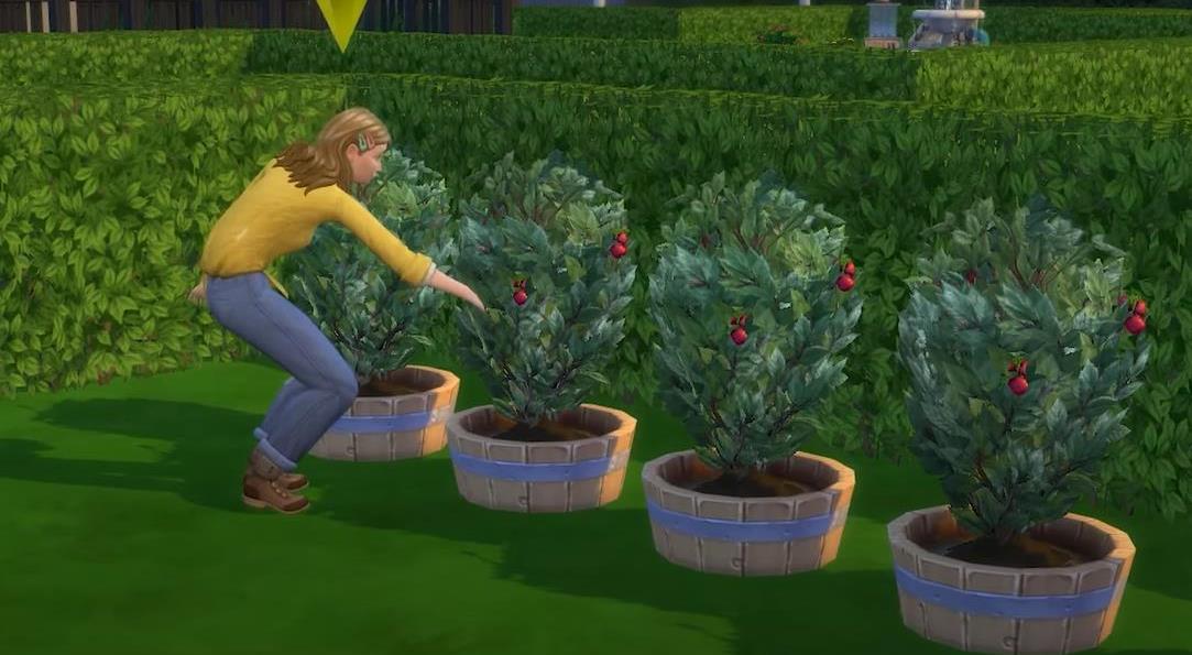 Complete Sims 4 Plant List Find & How To Harvest Plants