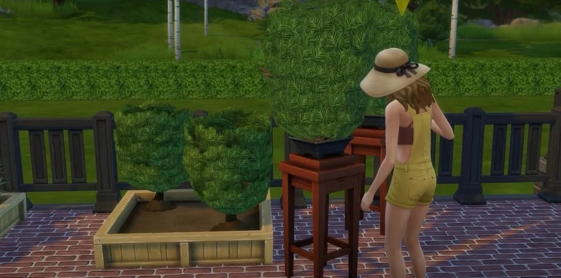 How to Uproot Plants In Sims 4 Complete Guide For Gardeners