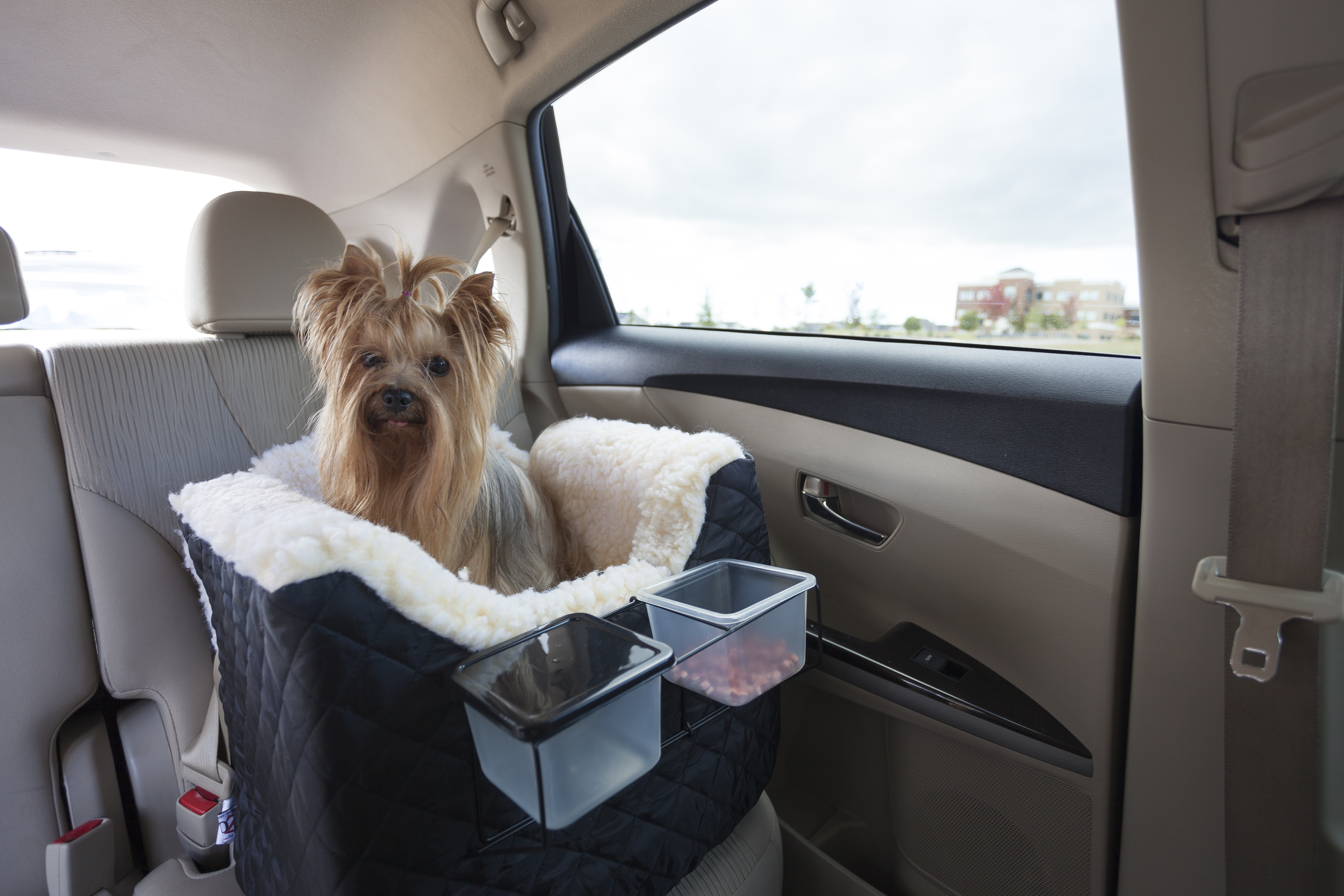 Untamed Camouflage Snoozer Luxury Lookout 1 Dog Car Seat with