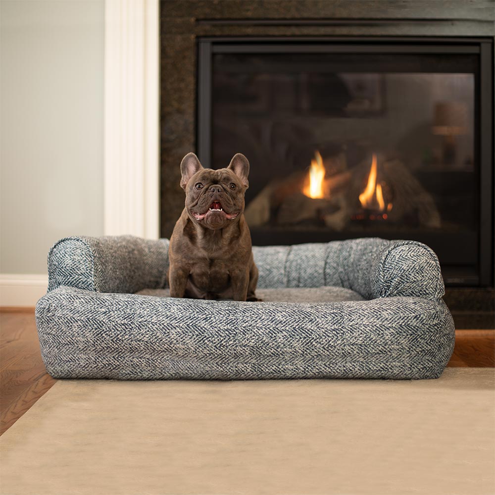 Snoozer Luxury Sleeper Sofa Show Dog Collection Luxury Dog Beds