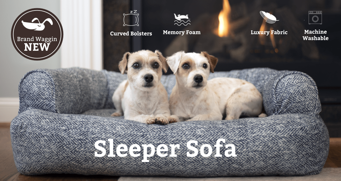 Snoozer Dog Beds Dog Car Seats Carriers 100's of Fabrics