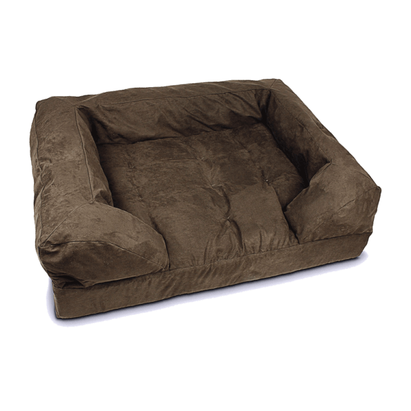 Why do dogs pee on beds?