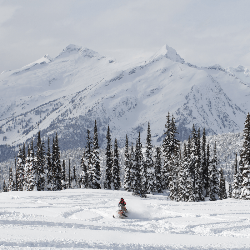 Snowmobiling in Valemount, B.C. SnoRiders