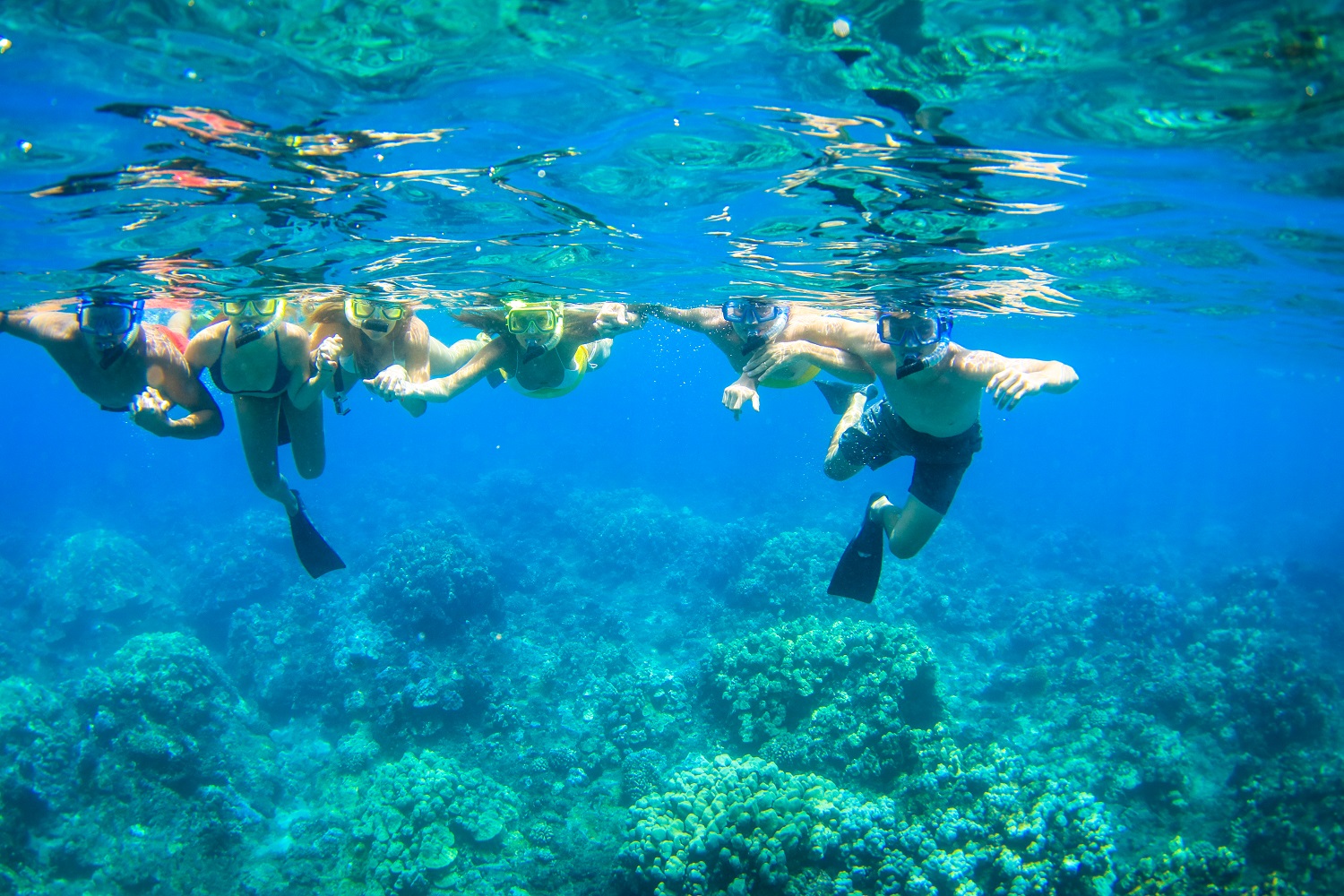 Teralani Maui Premier Snorkel Snorkel Bob's
