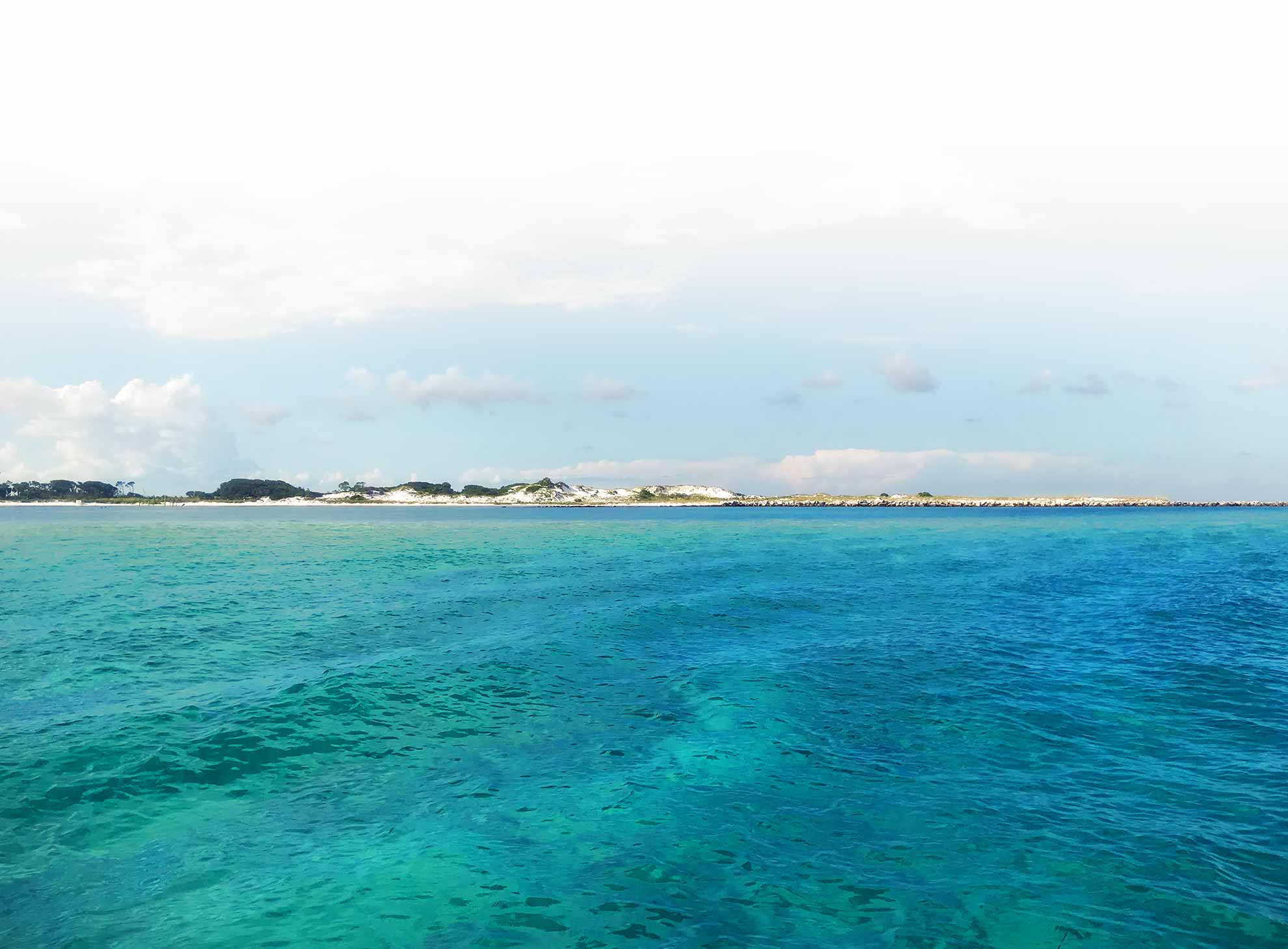 Visitacity.com has been visited by 100k+ users in the past month Privacy Policy Panama City Dolphin Seafari Tours