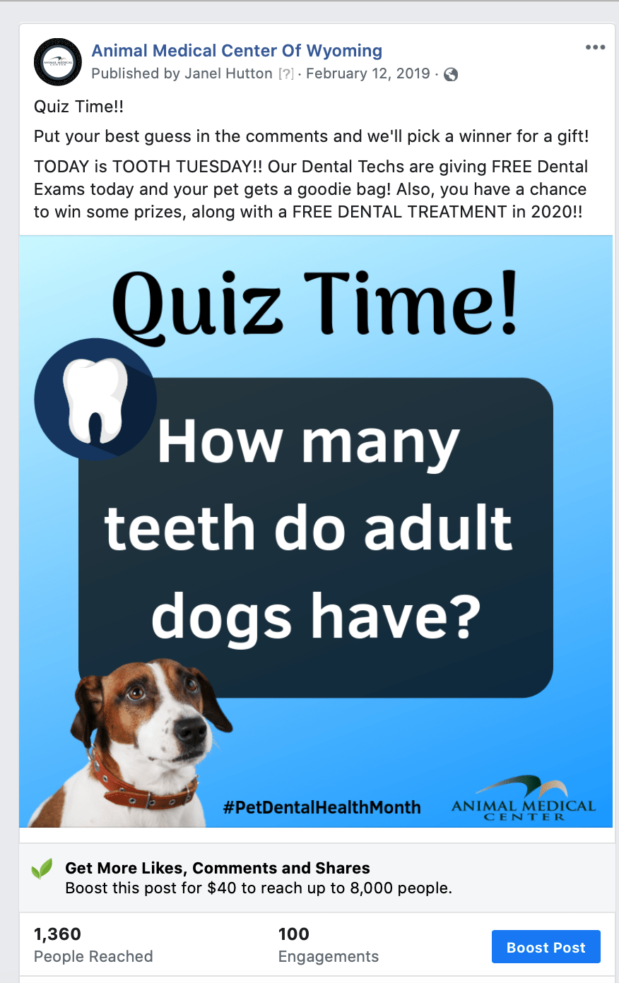 Show Your Veterinary Practice’s Love With These 14+ Marketing Ideas