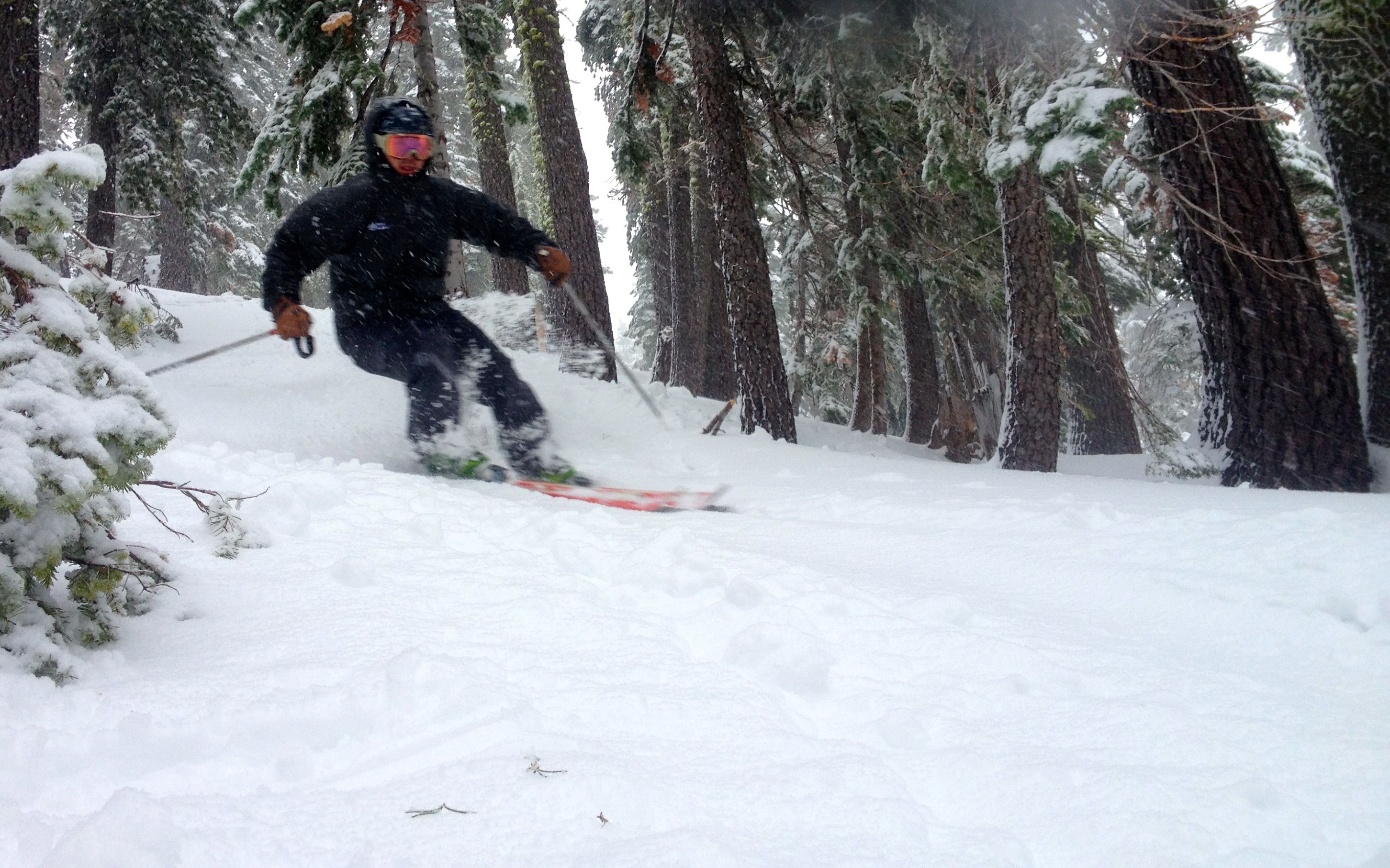 Alpine Meadows Conditions Report Feb 8th SnowBrains