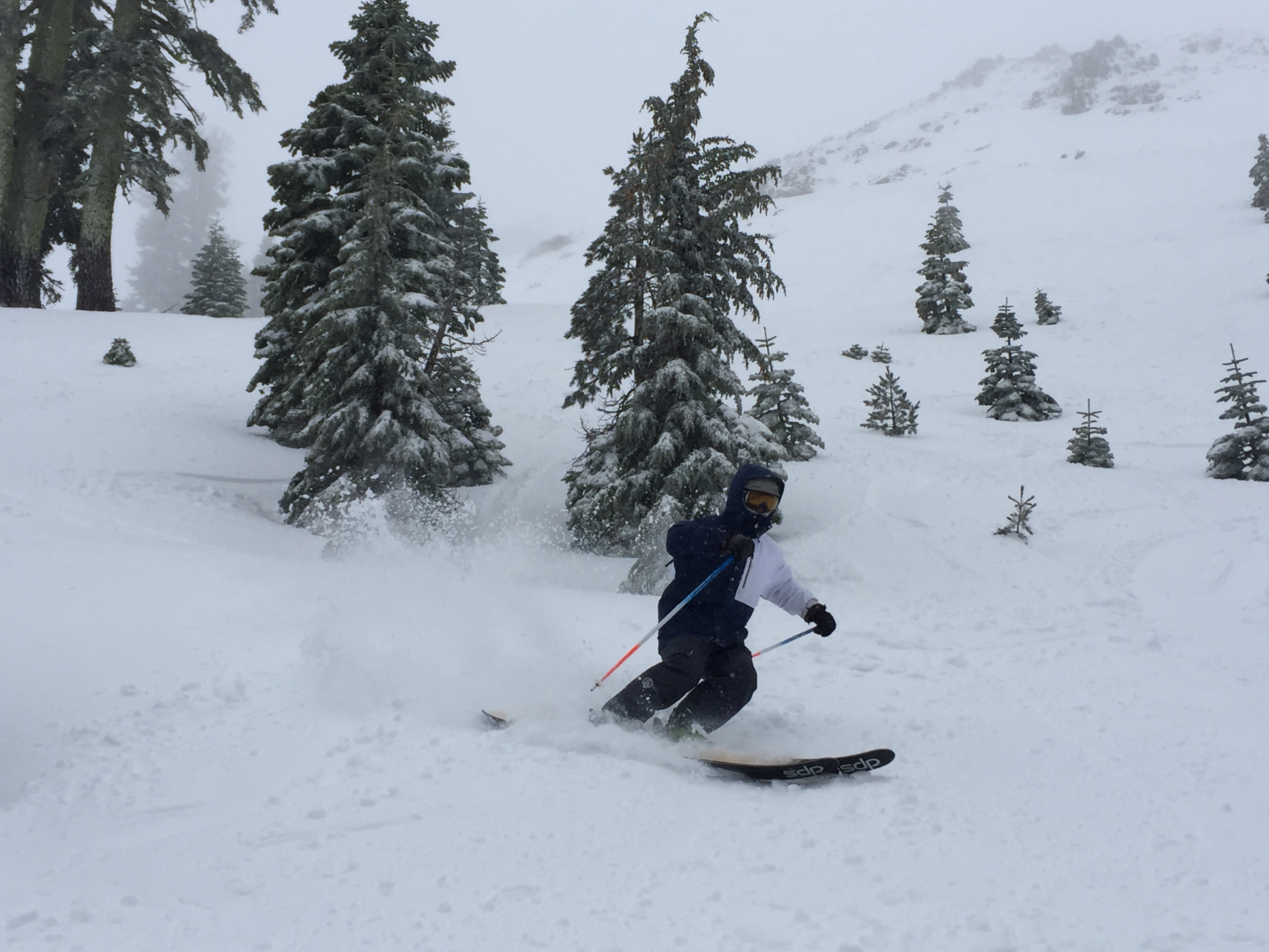 Alpine Meadows Conditions The Return of Wintery Snow! SnowBrains