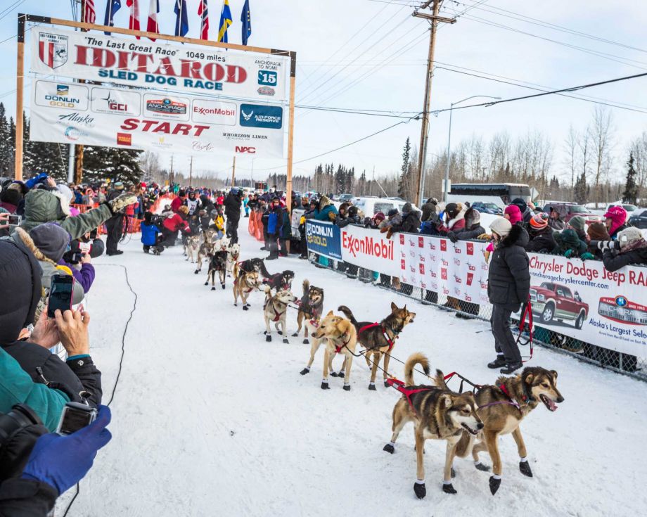Alaska's Lack of Snow Drives Iditarod Sled Dog Race 250Miles North