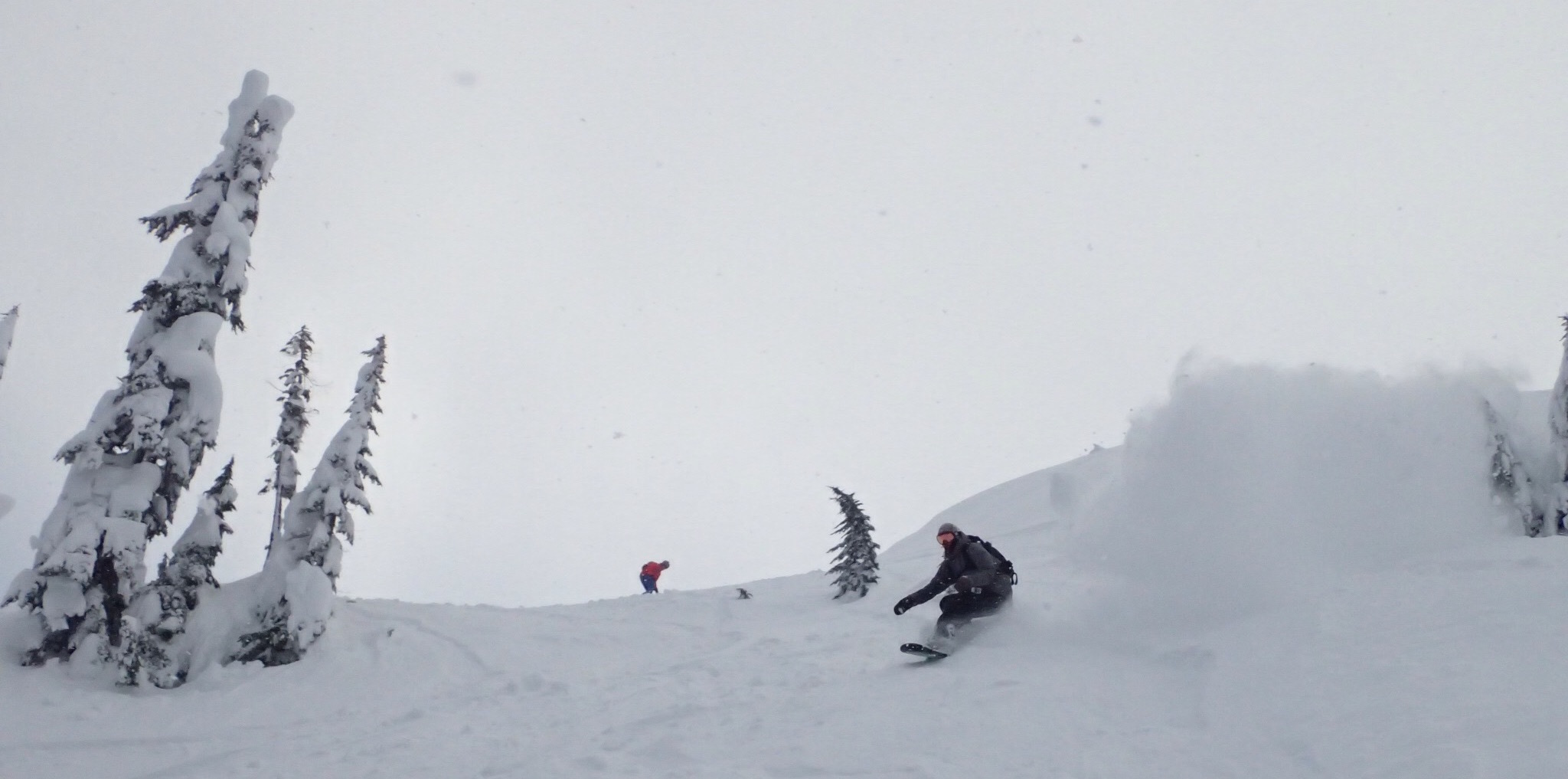 Mt. Baker, WA Conditions Report Cold Smoke Under Bluebird Skies