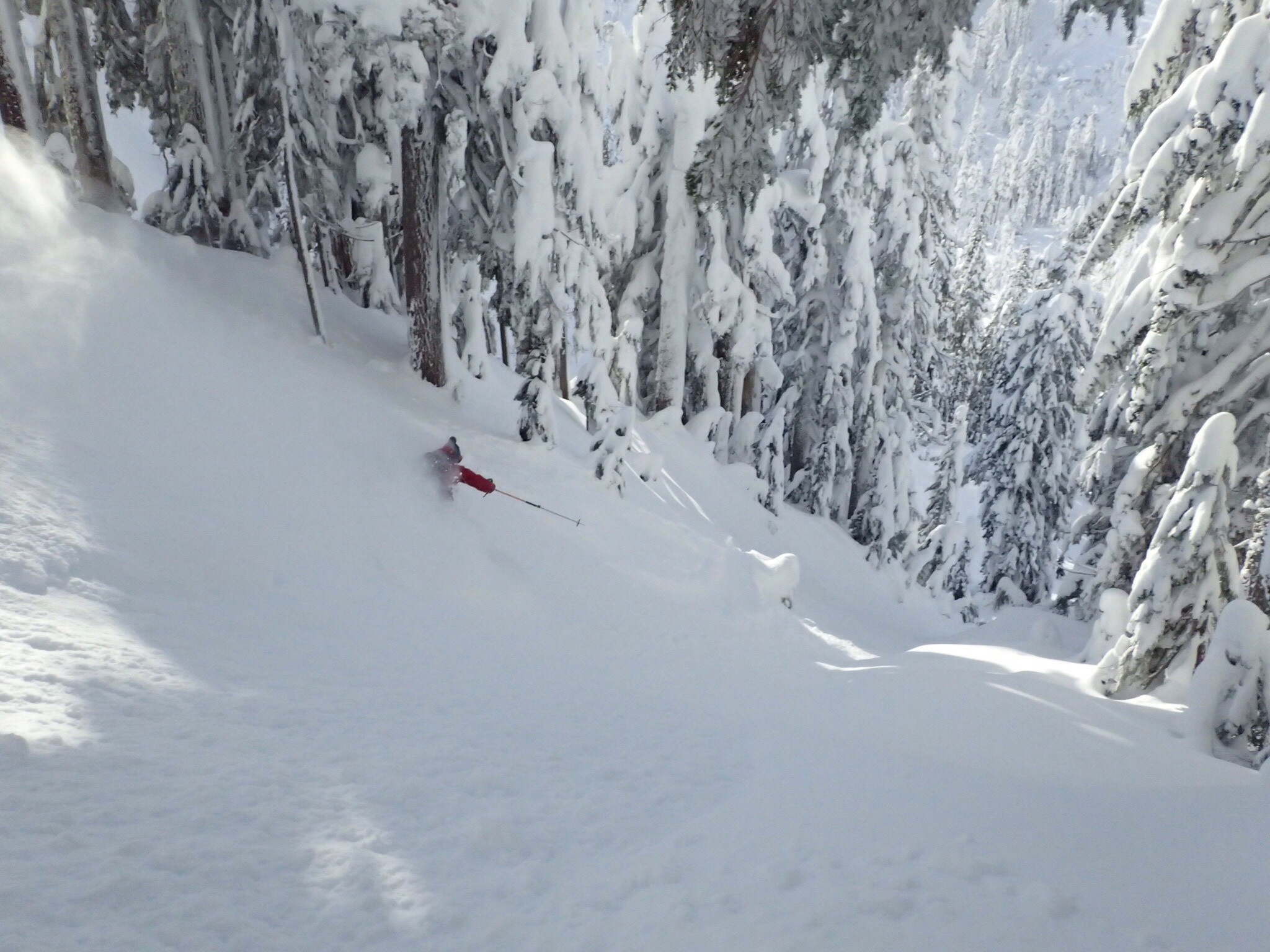 Mt. Baker, WA Conditions Report Cold Smoke Under Bluebird Skies