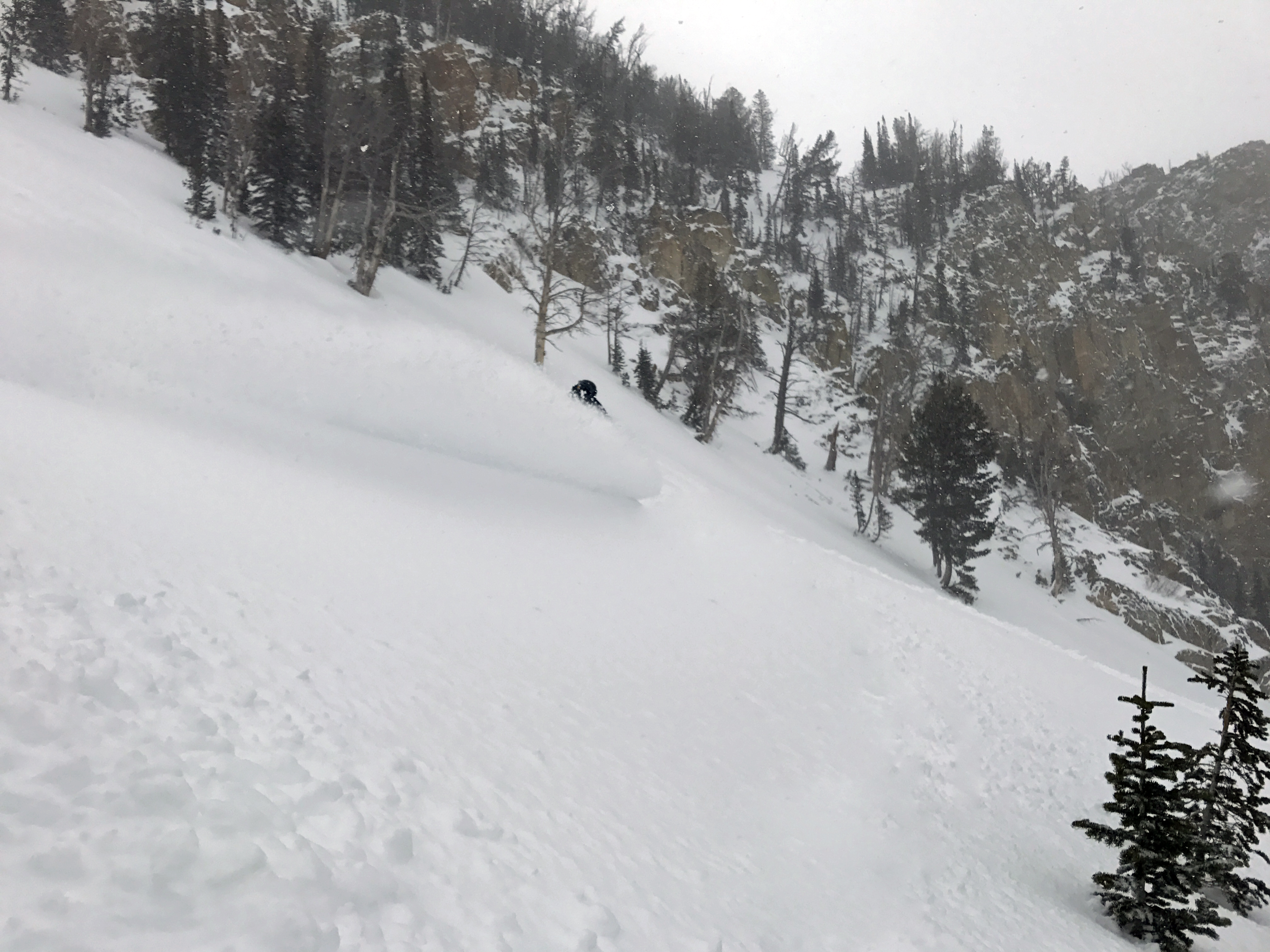 Jackson Hole, WY Conditions Report IT'S GOING OFF!! SnowBrains