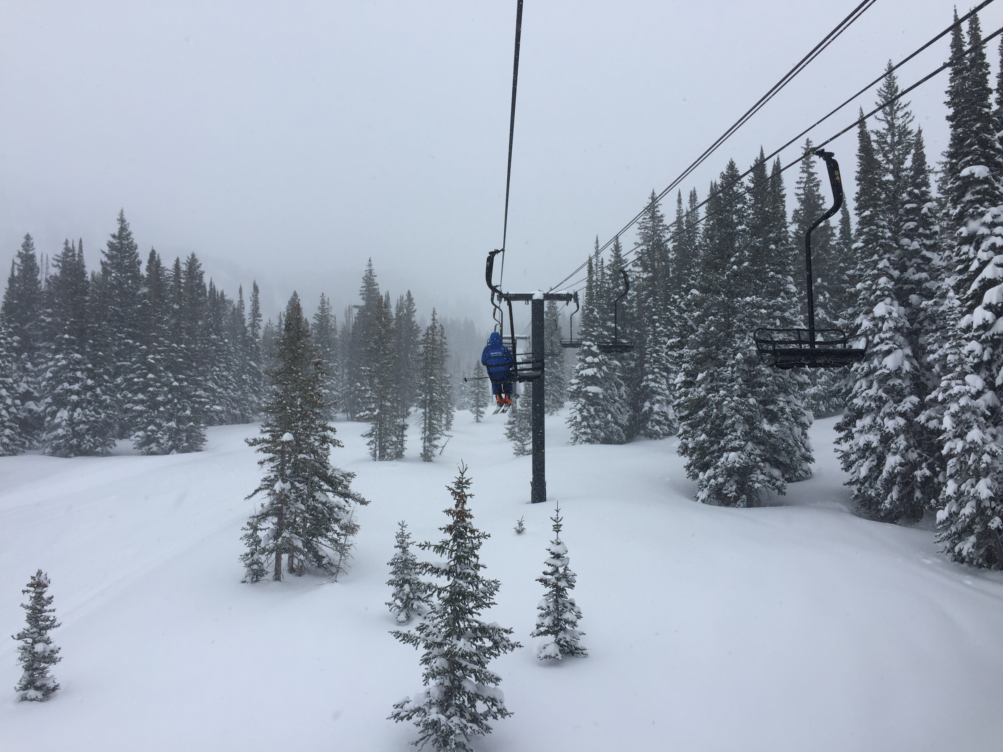 Alta, UT Conditions Report Fresh, Light Snow with Lots of Wind Photo