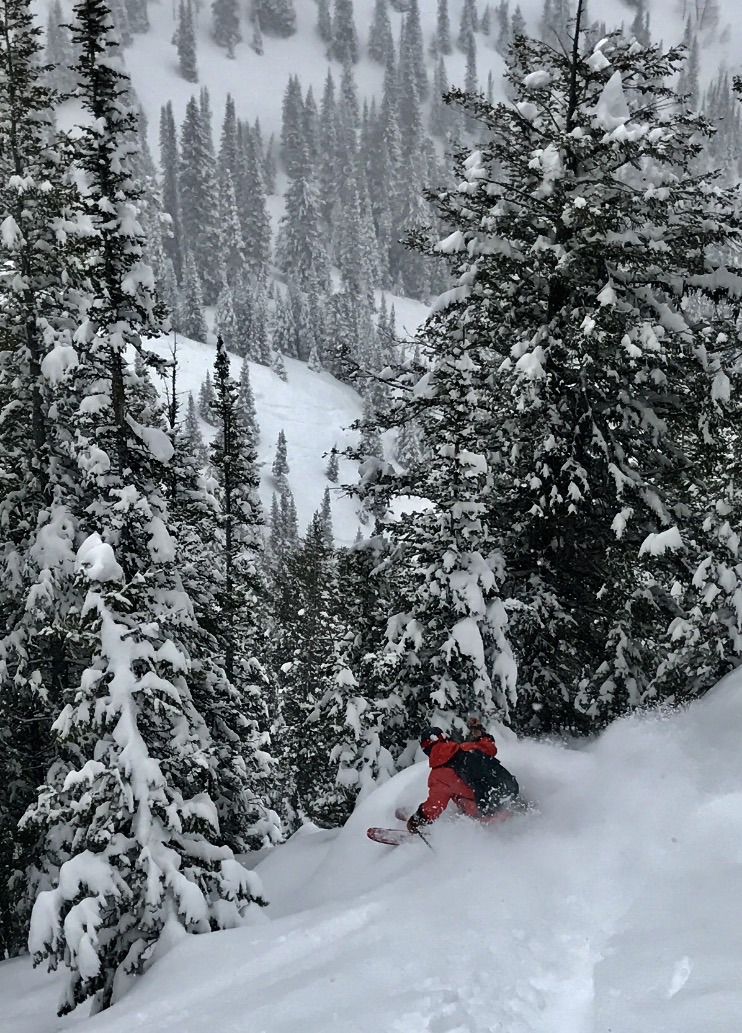 Jackson Hole, WY Conditions Report Deep Sneaker Powder Day SnowBrains