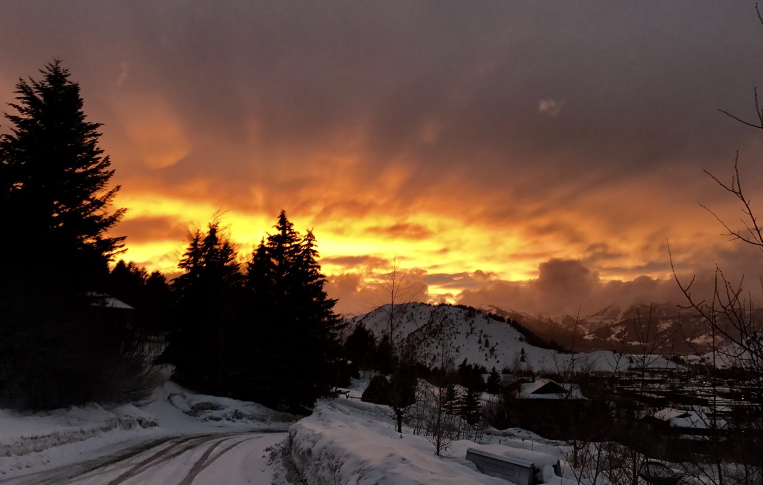 Jackson Hole, WY Conditions Report Deep Sneaker Powder Day SnowBrains