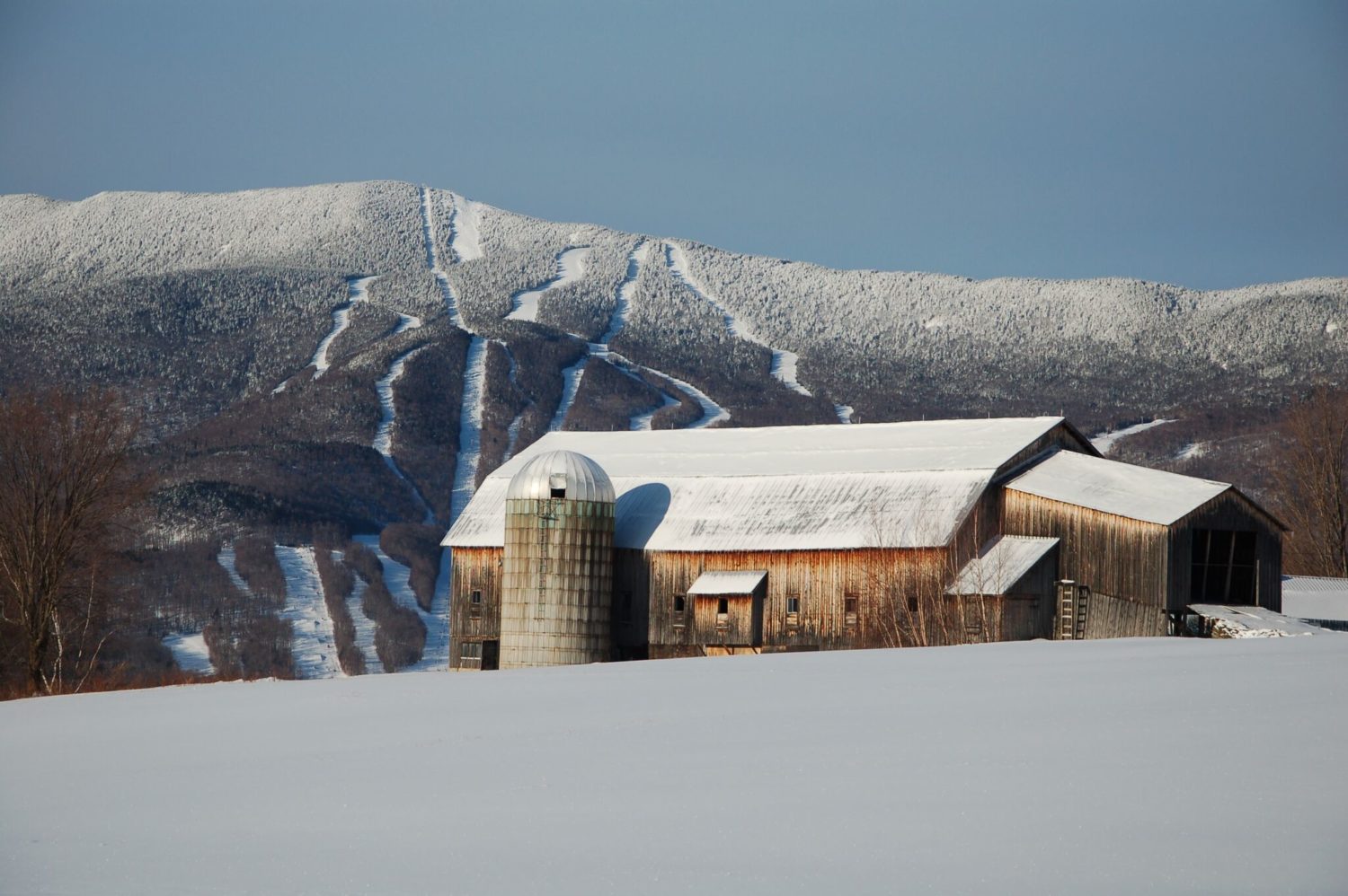 President and COO of Sugarbush Resort, VT Answers "So, What is Going to