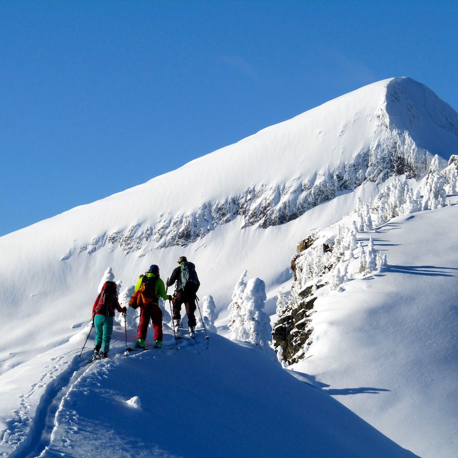 360º VIDEO Wildly Fun BC Pillow Skiing Yesterday SnowBrains