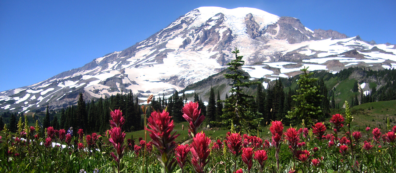 The Deadliest Accident in the History of Mount Rainier, WA SnowBrains