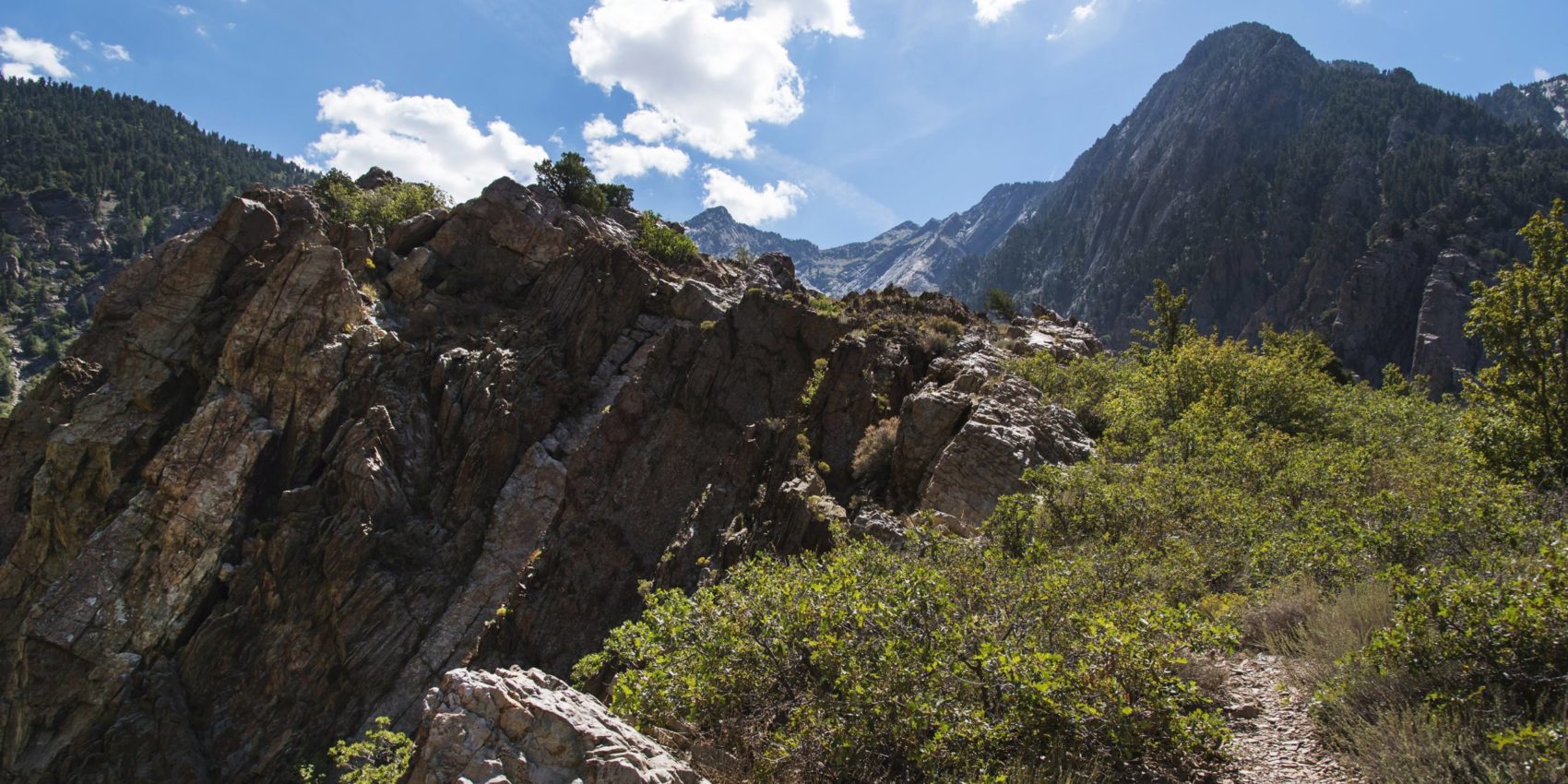 Mountain Climber Dies After Fall in Big Cottonwood Canyon, Utah