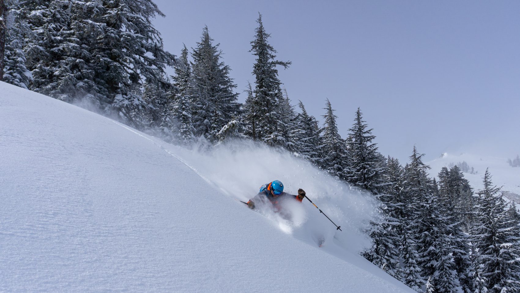 Brain Post Why is Snow White? SnowBrains