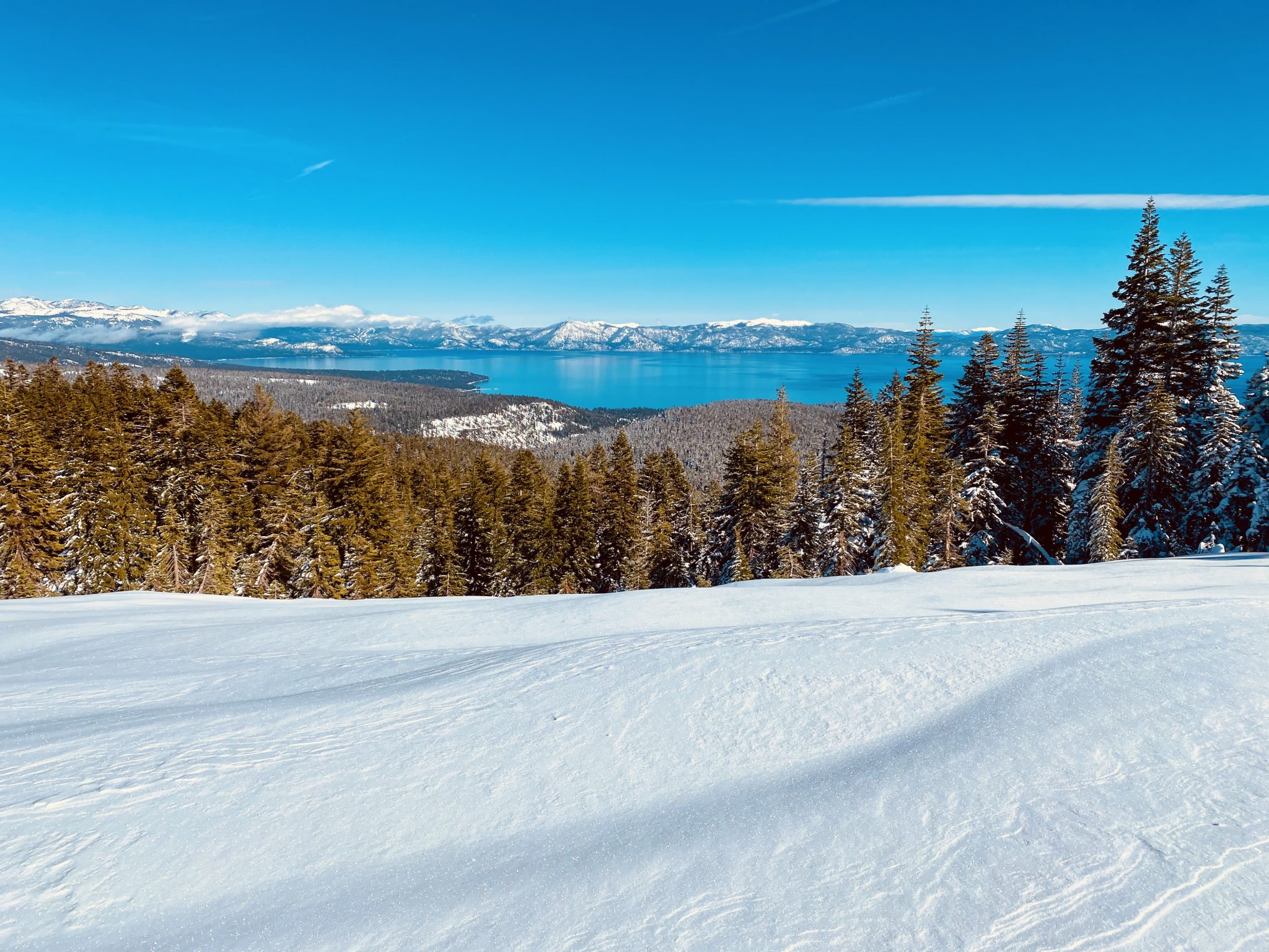 Alpine Meadows, CA Report The Day Between Storms After 16″ of Snowfall