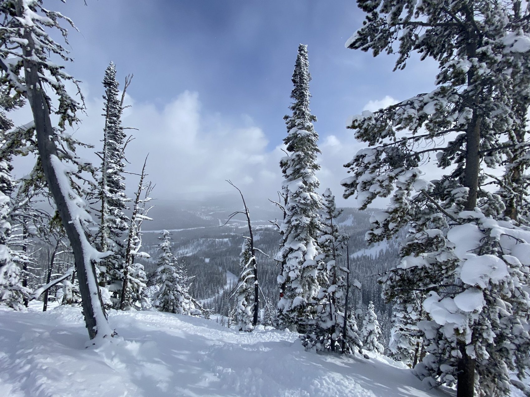 Lost Trail Ski Area, ID/MT Report Cliffs & Couloirs SnowBrains