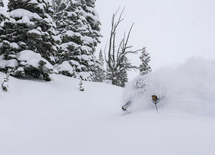Jackson Hole, WY Reports Deepest Ever February With Over 12 Feet of