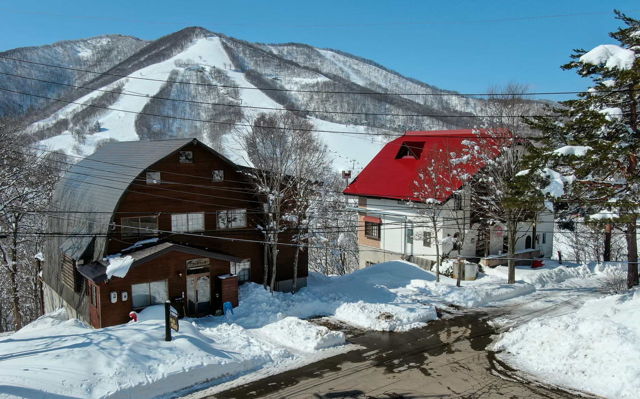 [FOR SALE] 10 Bedroom SkiIn SkiOut Lodge in Japan For Only 950,000 SnowBrains