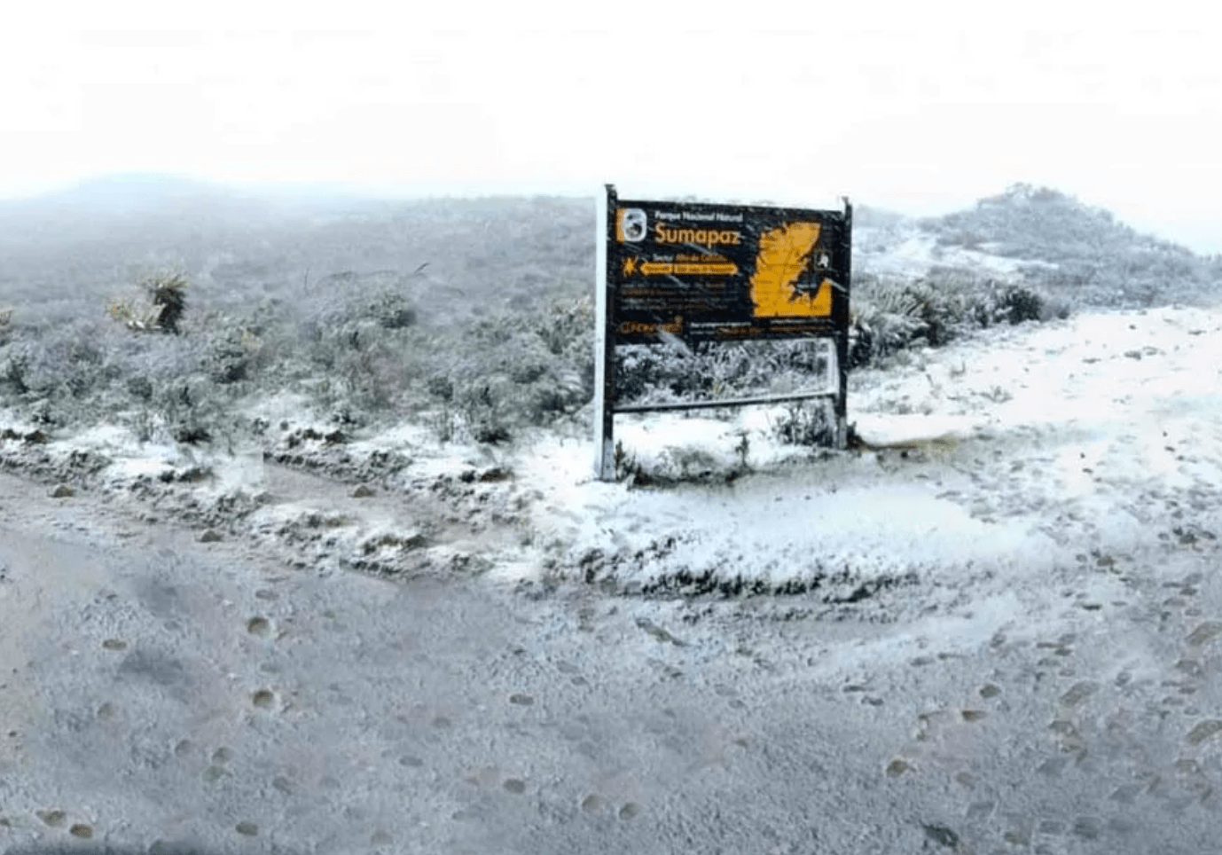 Colombian National Park Receives 1st Snowfall in Over 60 Years SnowBrains