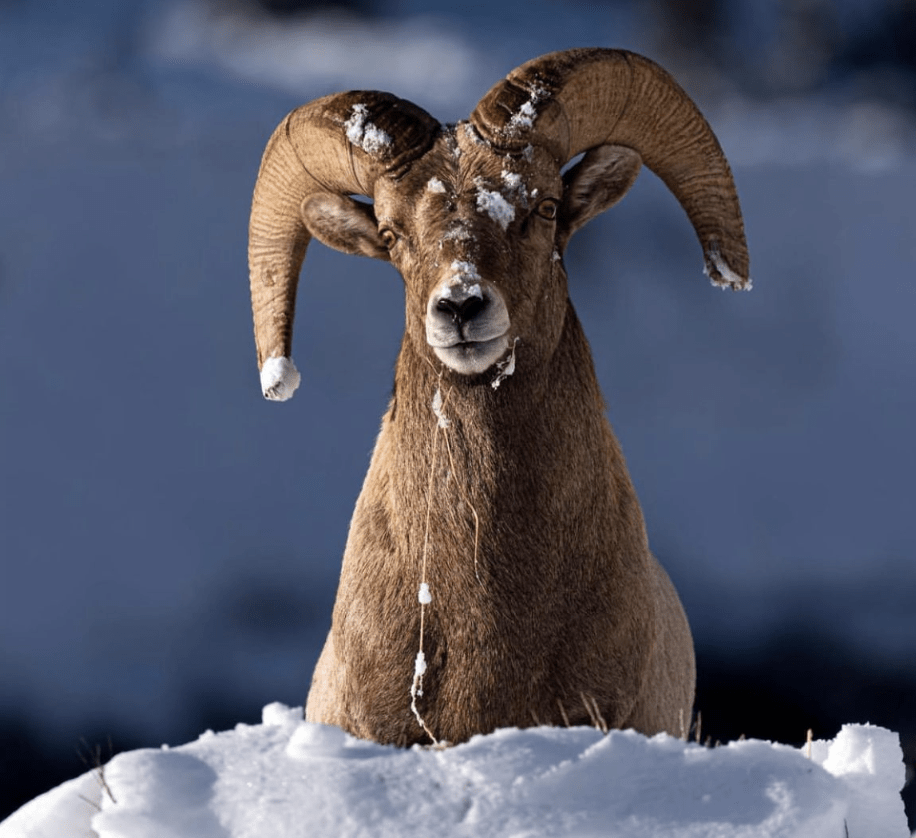 Vail Corp. Files Court Complaint Against Town of Vail, CO, as Battle Over Workforce Housing