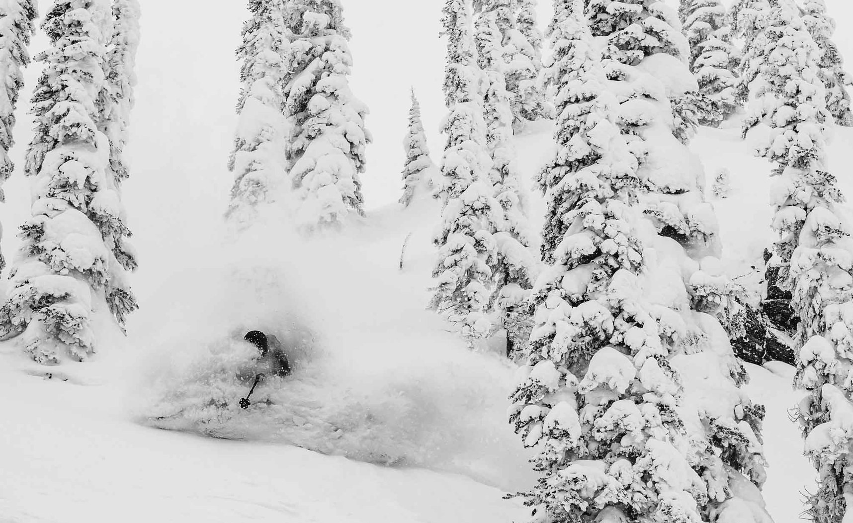 The Top 9 Resorts for Tree Skiing in North America LaptrinhX / News