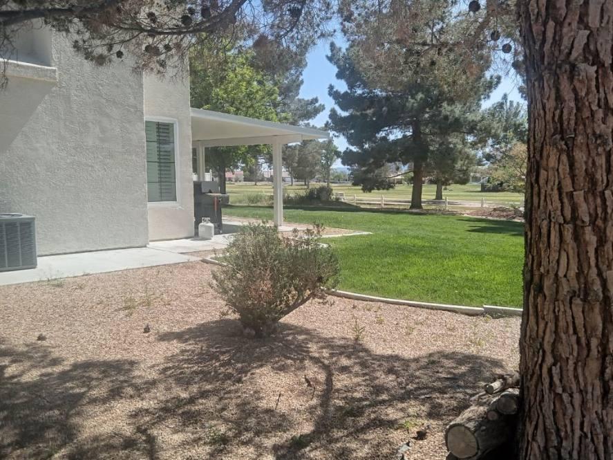 Pahrump Leaf Removal Snowden Designs 7755378070