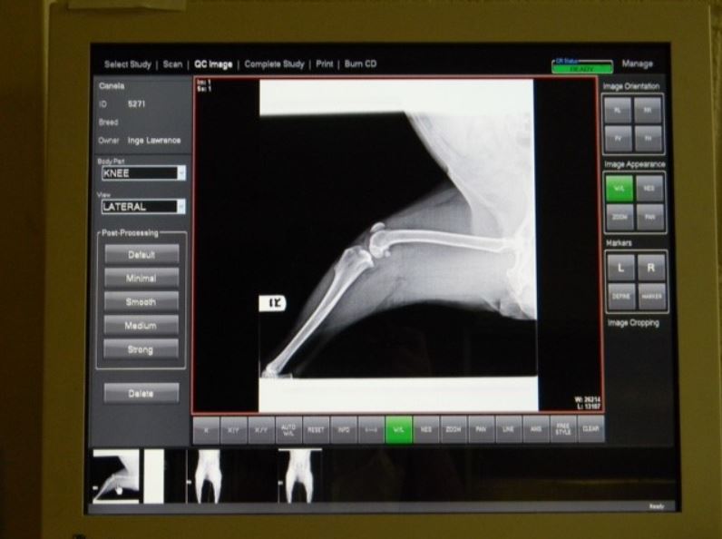 Services Snowdoun Veterinary Hospital